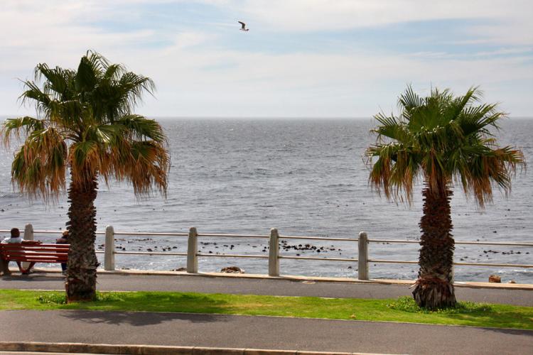 Photo 8 of Seaside Garden Apartment accommodation in Bantry Bay, Cape Town with 2 bedrooms and 2 bathrooms