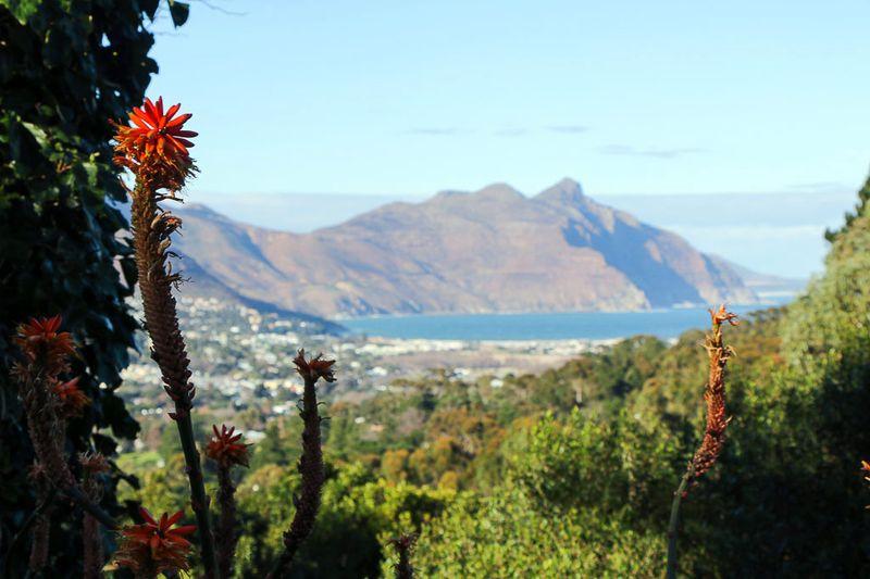 Photo 16 of Ruyteplaats Lodge accommodation in Hout Bay, Cape Town with 2 bedrooms and  bathrooms