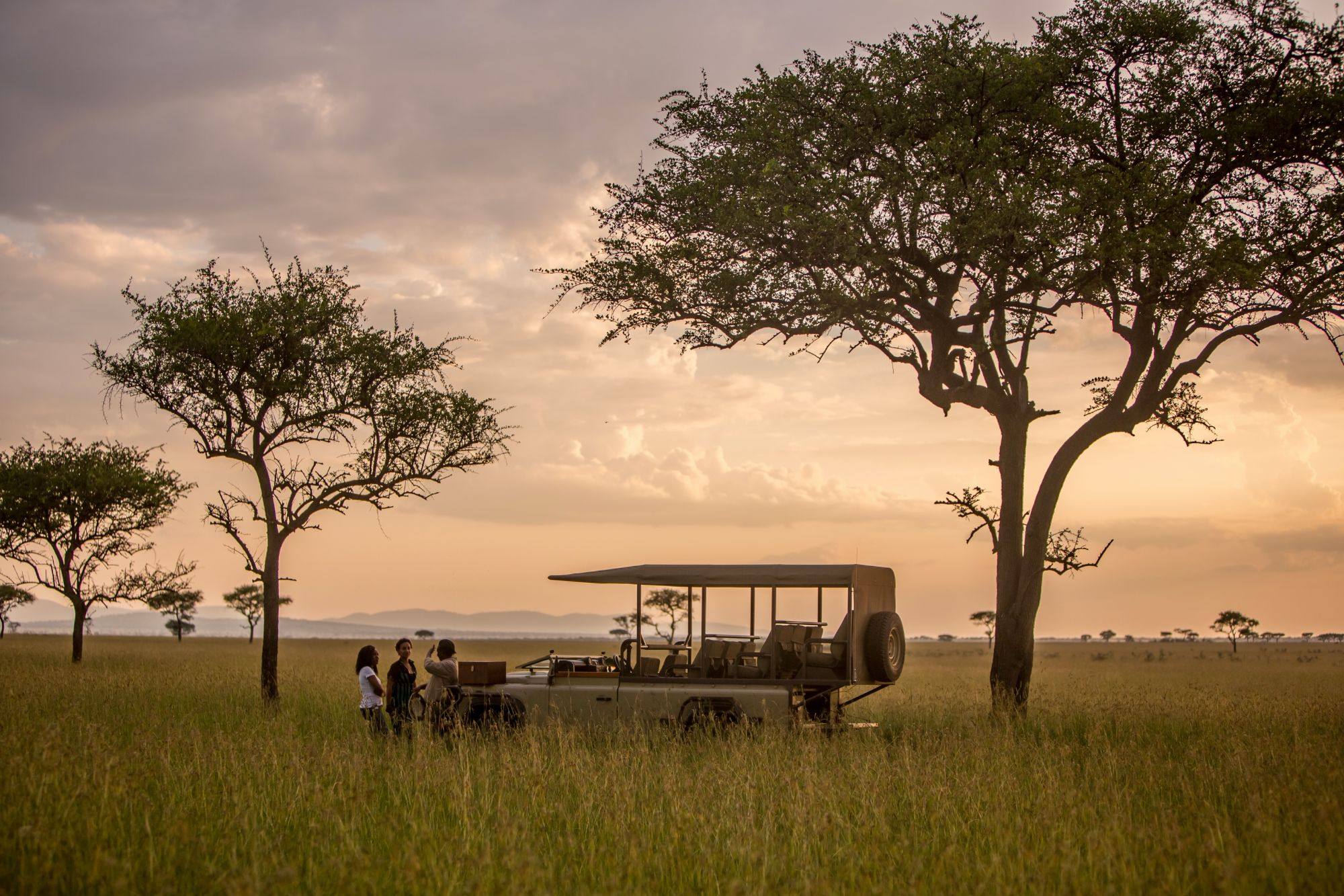 Guests and their guide beside an open safari vehicle in golden grassland beneath acacia trees at sunset