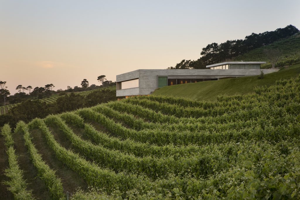 Vineyards in front of Beau Constantia Villa