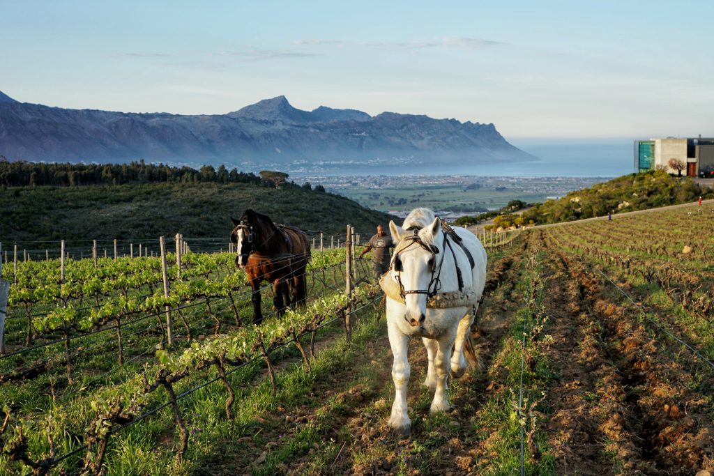 Waterkloof