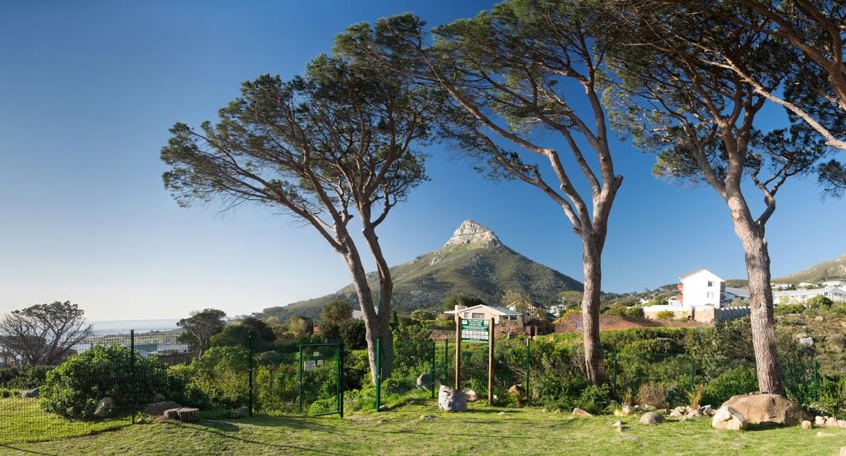 Photo 8 of Inglenook Villa accommodation in Camps Bay, Cape Town with 3 bedrooms and 2 bathrooms