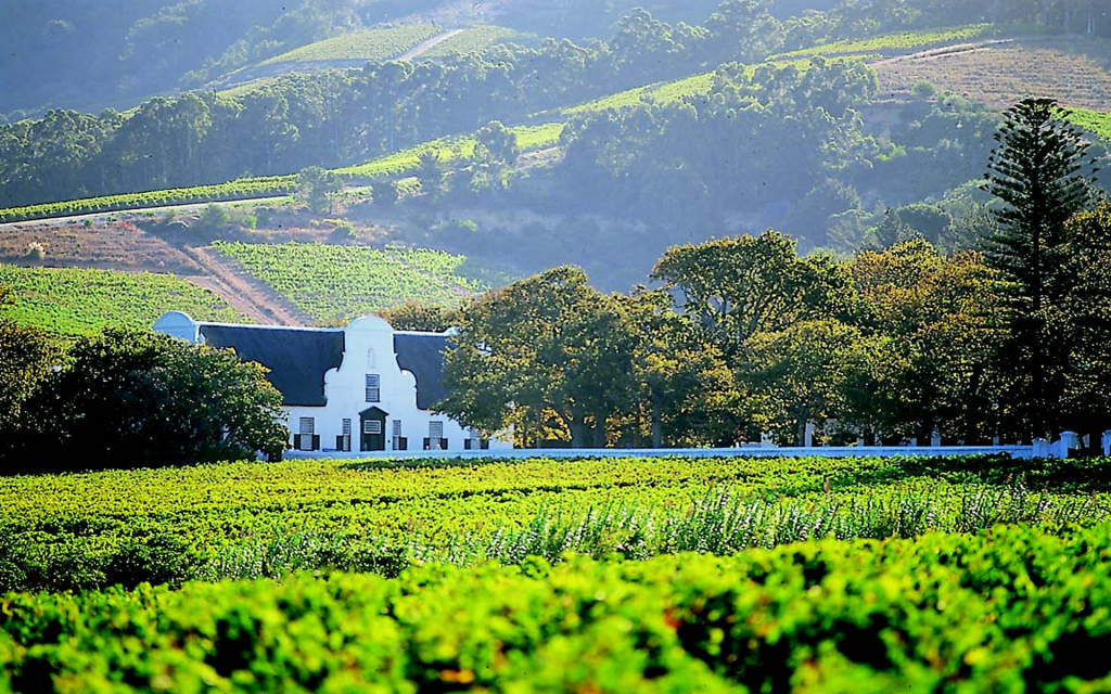 A Wine Farm in Groot Constantia