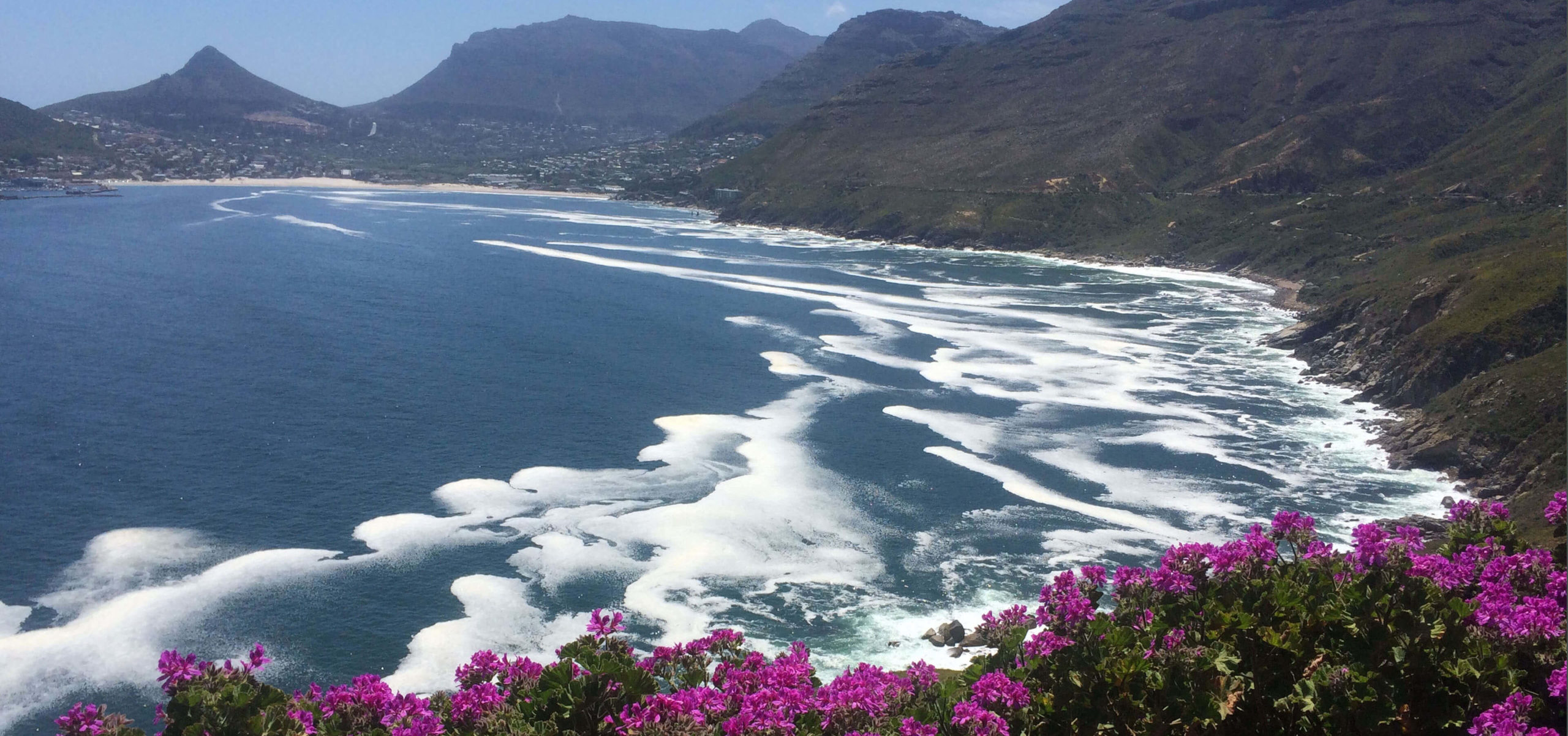 10 Best Estates In Cape Townavignon Security Estate