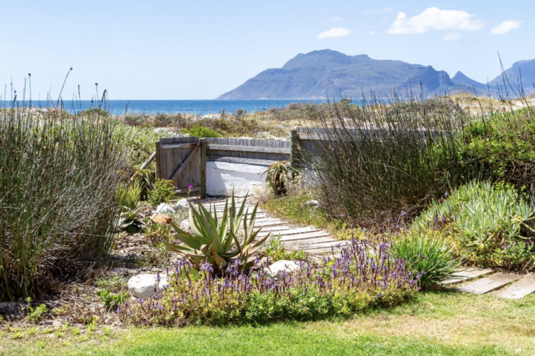 Kommetjie Gem 1