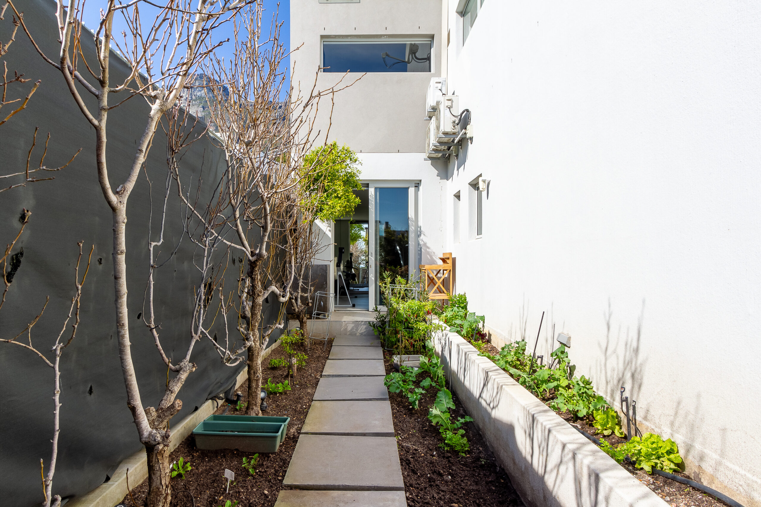 Cape Town Luxury Escapes Lions Head Vista 30