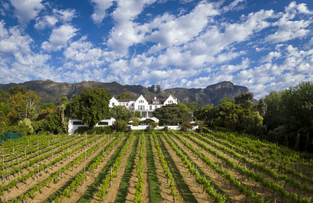 Vineyards