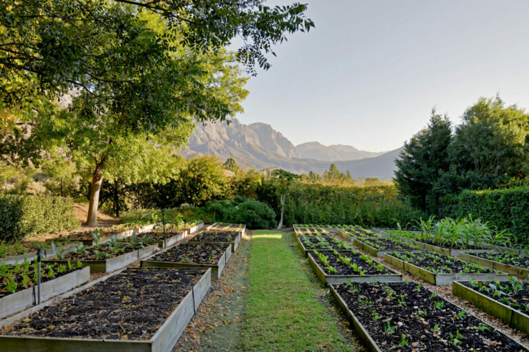 Cape Town Luxury Escapes Farm Lorraine House By The Lake 6